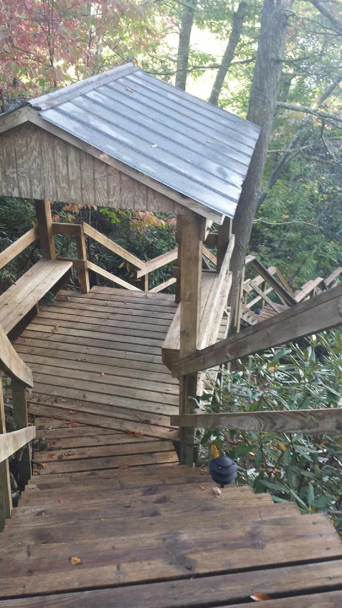 Metal roofed shelter over wooden steps on a wooded walkway — Skylight Repair & Installation work by our crew in Copalis Crossing