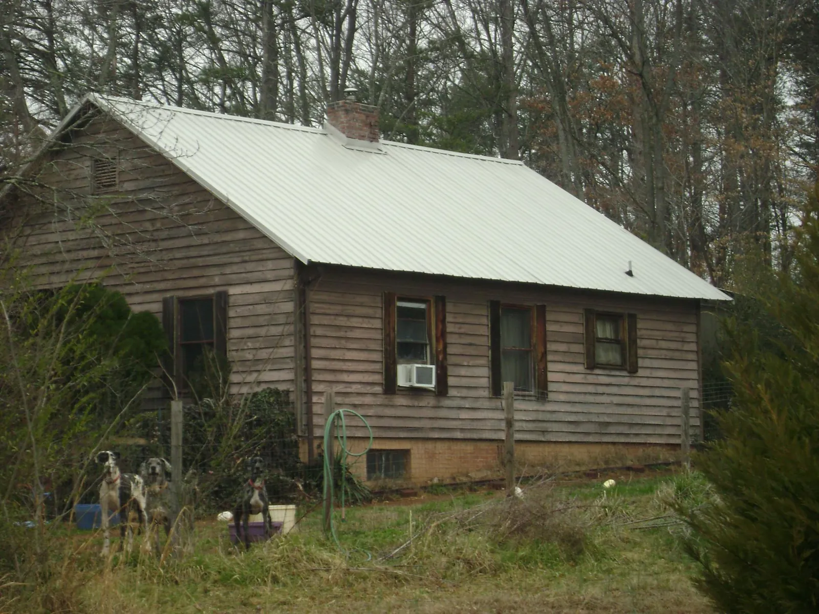 White metal roof on an old wood sided farmhouse, from a Metal Roof Installation job in Copalis Crossing